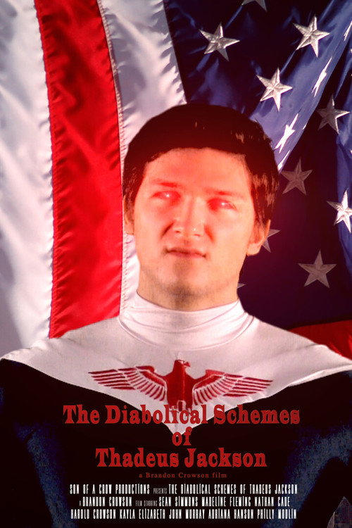 The Diabolical Schemes of Thadeus Jackson постер