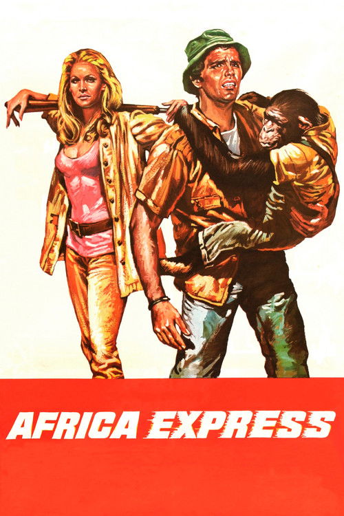 Africa Express постер