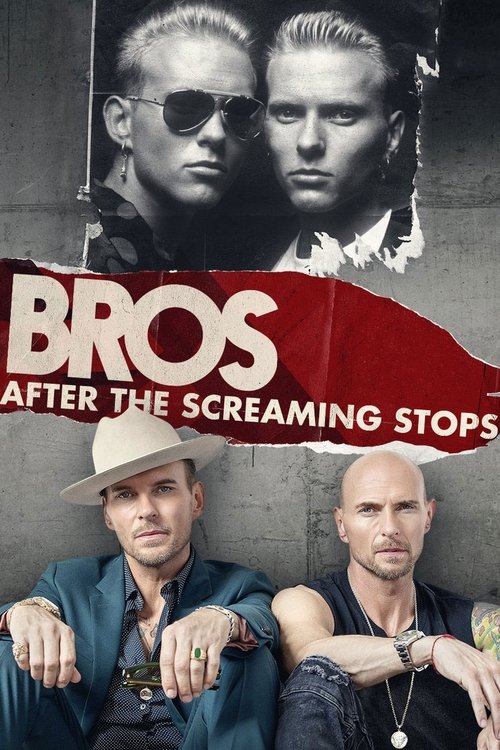 After the Screaming Stops постер