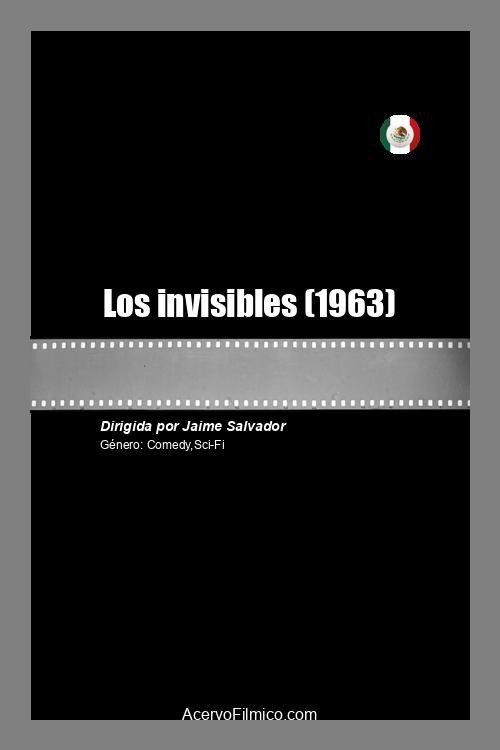 Los Invisibles постер