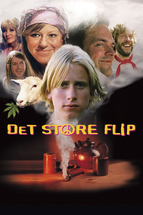 Det store flip постер