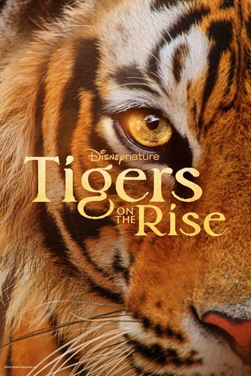 Tigers on the Rise постер
