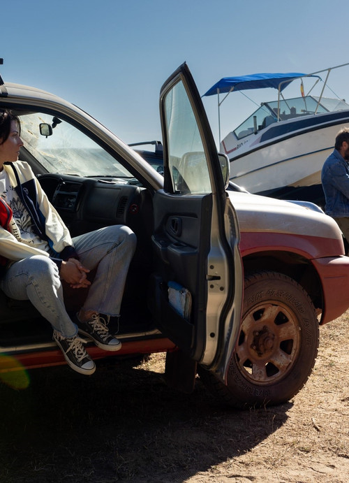 Тигры постер