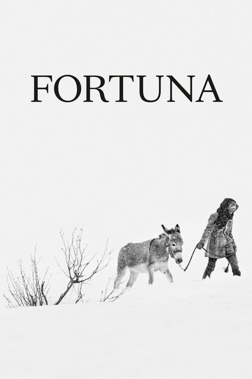 Fortuna постер