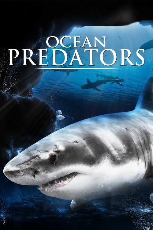 Ocean Predators постер
