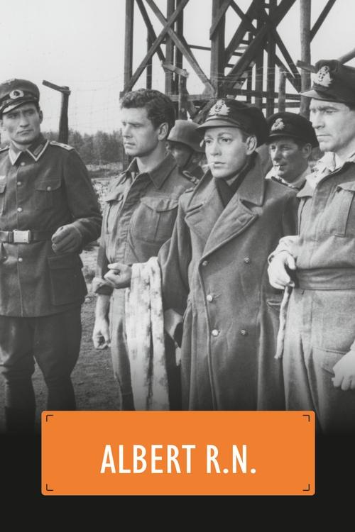 Albert R.N. постер