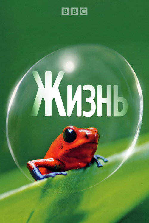 Жизнь постер