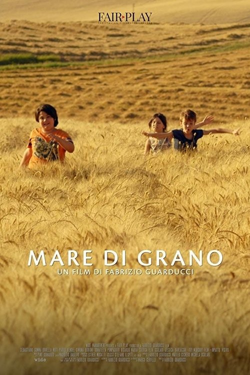 Mare di grano постер