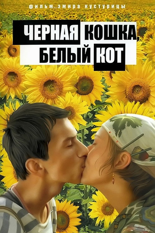 Чёрная кошка, белый кот постер