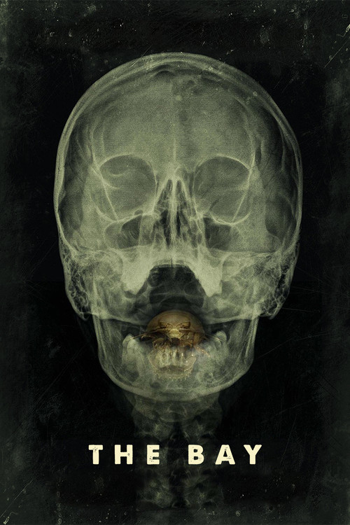 Залив постер