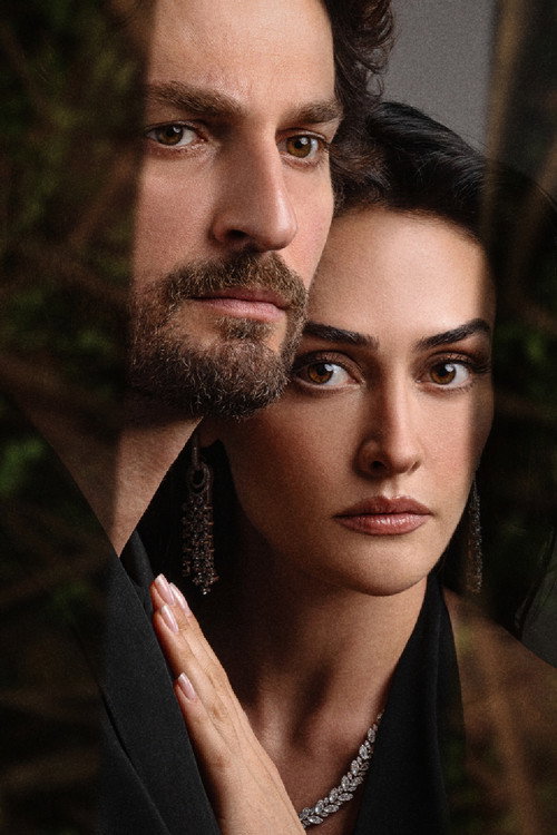 Врата времени постер