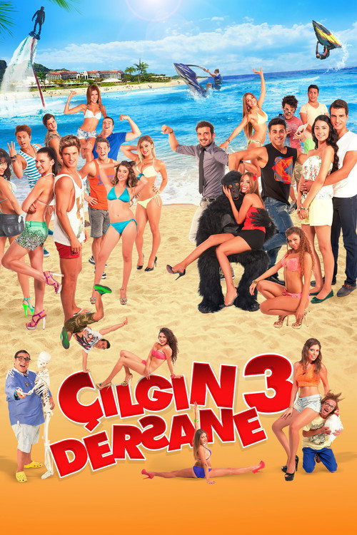 Çılgın Dersane 3 постер