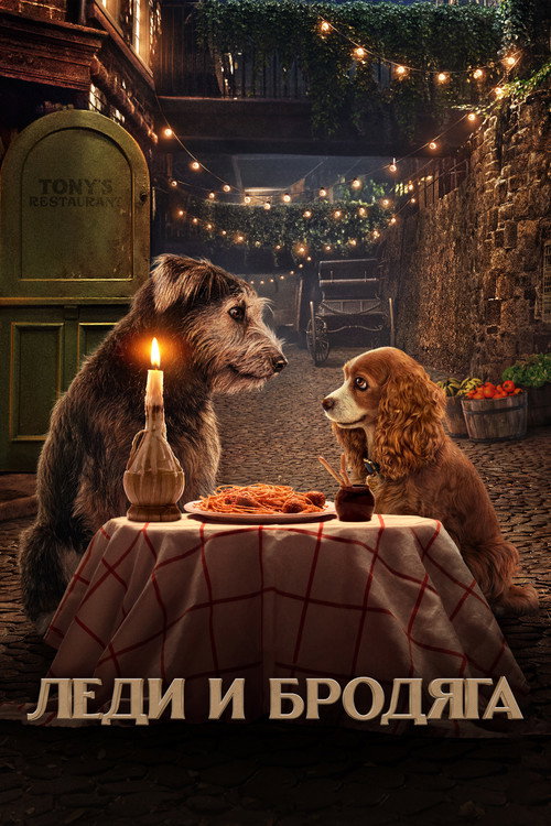 Леди и Бродяга постер