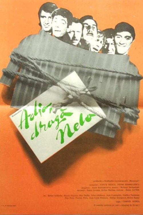 Adio, dragă Nela! постер