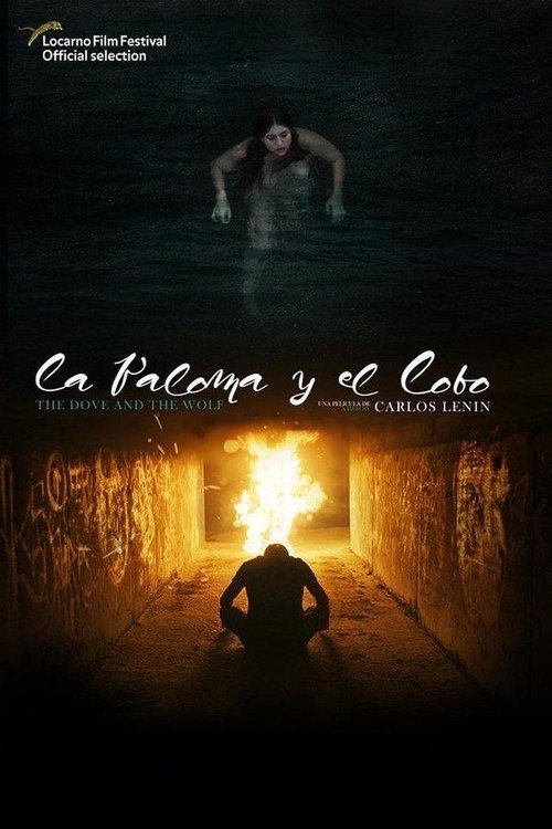 The Dove and the Wolf постер