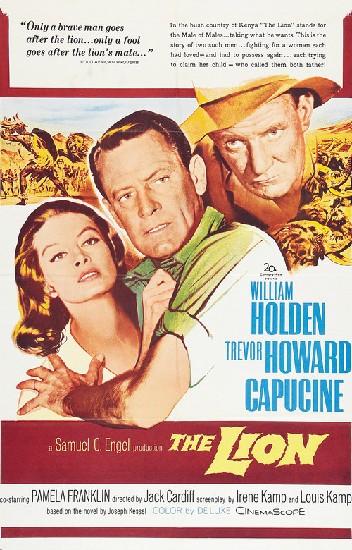 The Lion постер