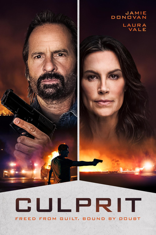 Преступник постер