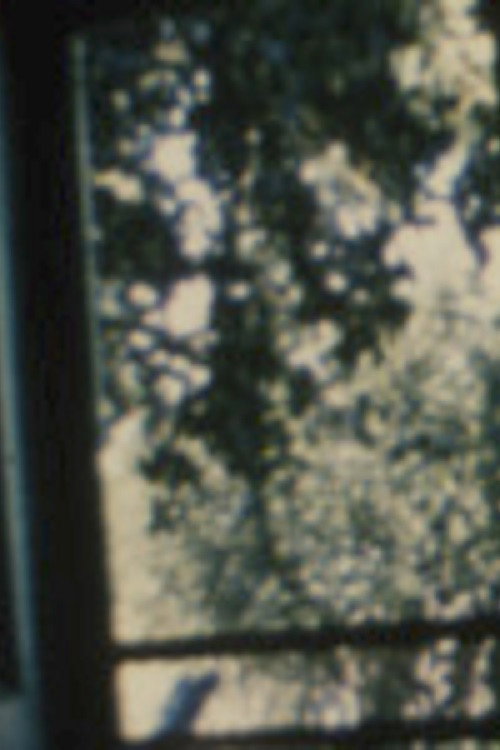 Song 19 постер