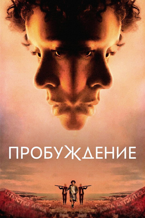 Пробуждение постер