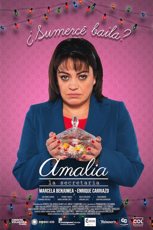 Amalia, la secretaria постер