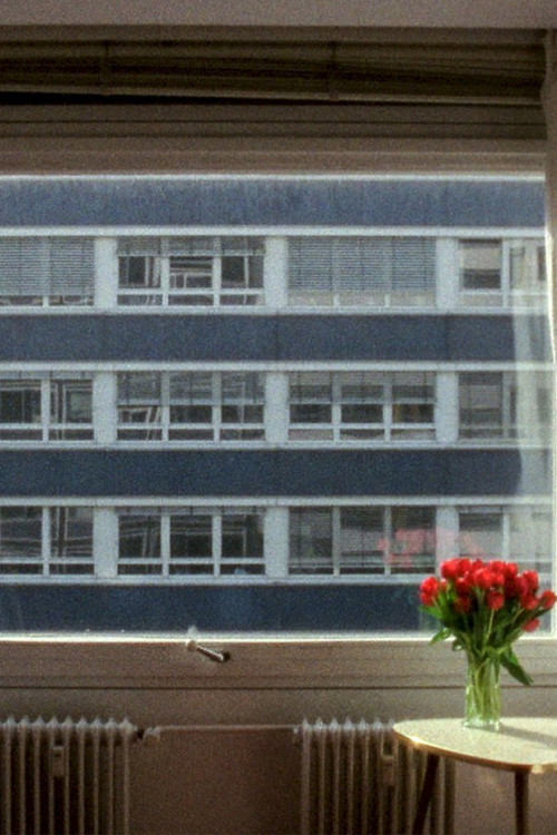 21.3 °C постер