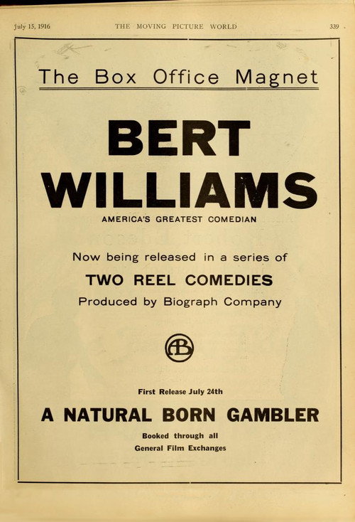 A Natural Born Gambler постер