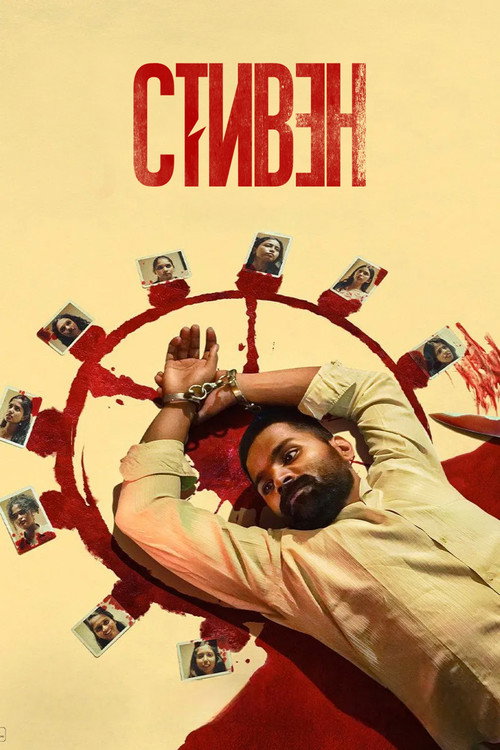 Стивен постер