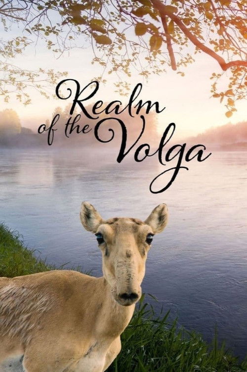 Realm of the Volga постер