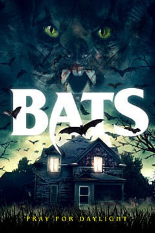 Bats постер