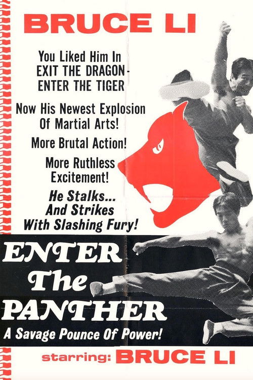 Enter the Panther постер