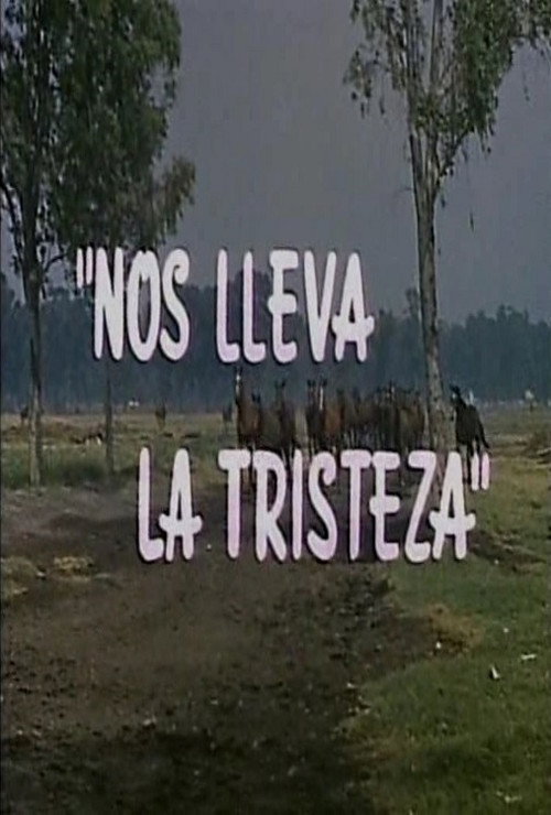 Nos lleva la tristeza постер