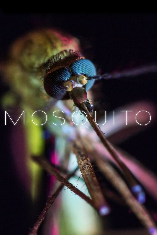 Mosquito постер