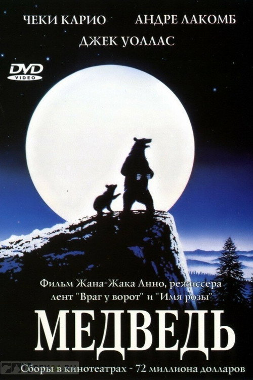 Медведь постер