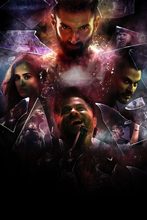 Бродяга постер