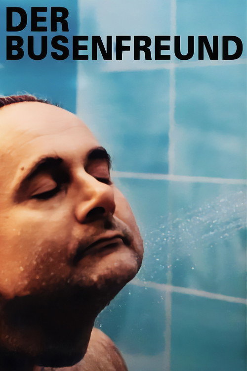 Der Busenfreund постер