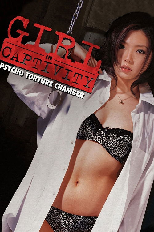 新・監禁逃亡 劇場版 постер