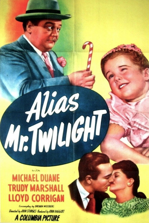 Alias Mr. Twilight постер