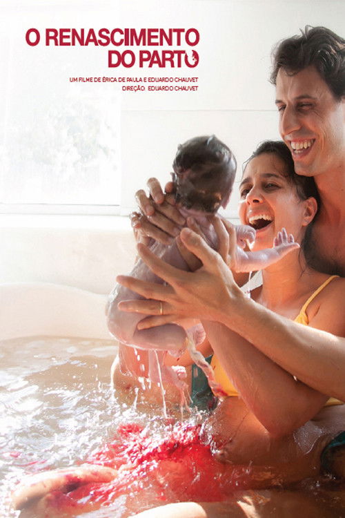 O Renascimento do Parto постер