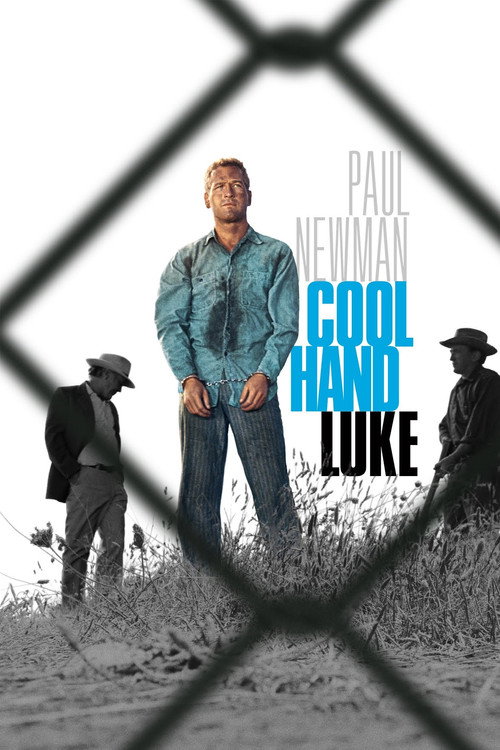 Cool Hand Luke постер
