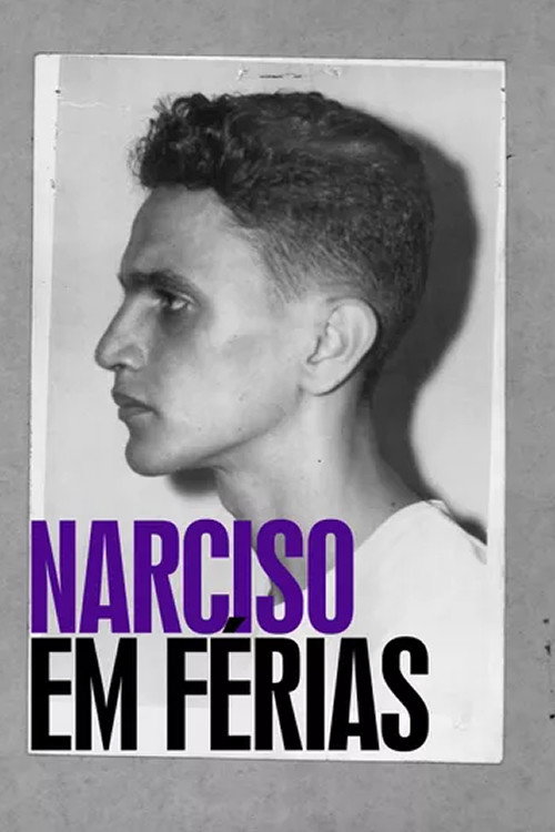 Narciso em Férias постер