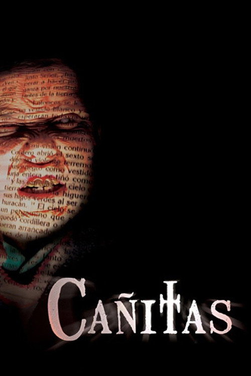 Cañitas постер