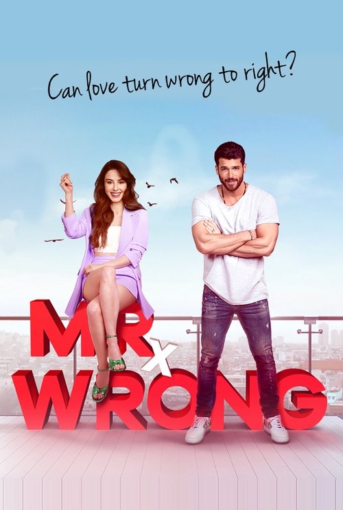 Mr. Wrong постер