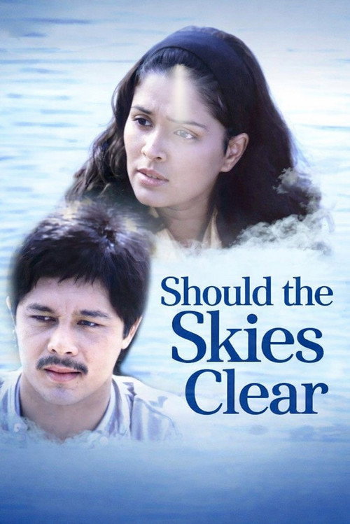 Should the Skies Clear постер
