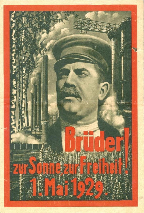 Brüder постер