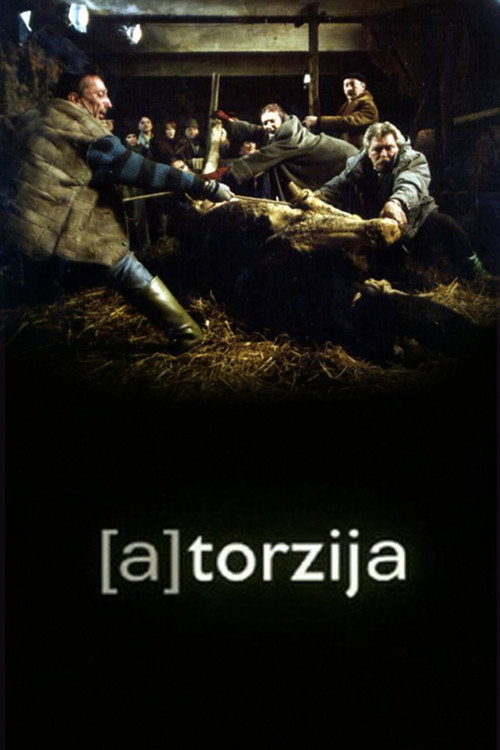 (A)Torzija постер