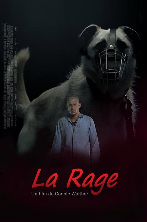 Die Rüden постер