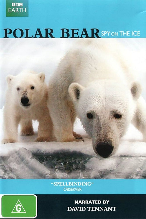 Polar Bear: Spy on the Ice постер