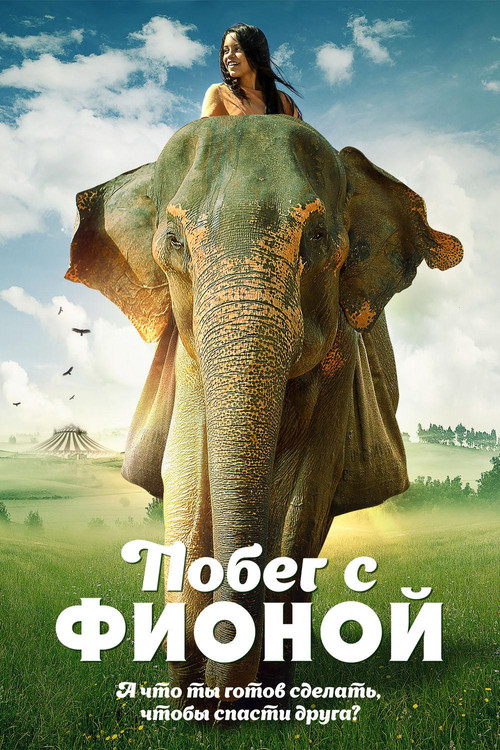 Побег с Фионой постер