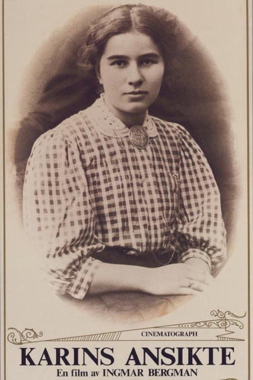 Karins ansikte постер