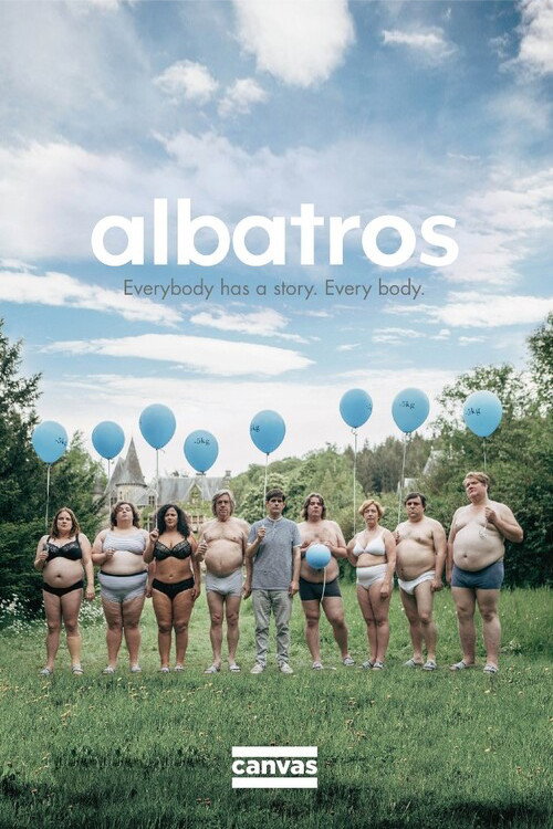 Albatros постер
